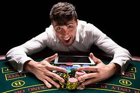 Live dealer studio at star77 slot with professional croupier, multiple camera angles, and real-time broadcast to mobile and desktop